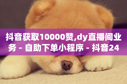 抖音获取10000赞,dy直播间业务 - 自助下单小程序 - 抖音24小时业务平台