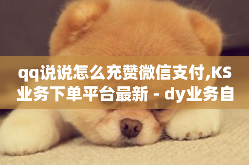 qq说说怎么充赞微信支付,KS业务下单平台最新 - dy业务自助下单软件下载安装 - QQ自助业务网