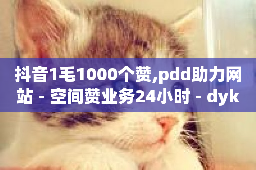 抖音1毛1000个赞,pdd助力网站 - 空间赞业务24小时 - dyks业务下单自动平台