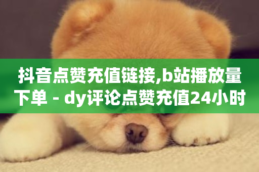 抖音点赞充值链接,b站播放量下单 - dy评论点赞充值24小时到账 - 快手点赞免费1万-第1张图片-ZBLOG