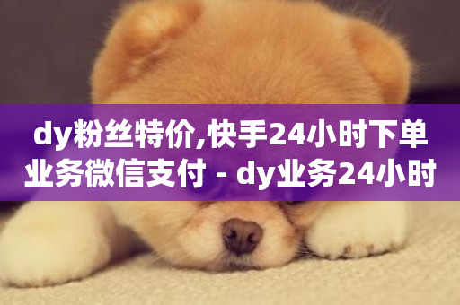 dy粉丝特价,快手24小时下单业务微信支付 - dy业务24小时 - 卡盟自动发卡网-第1张图片-ZBLOG