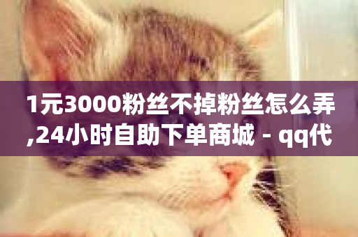 1元3000粉丝不掉粉丝怎么弄,24小时自助下单商城 - qq代充网专业代充平台 - 快手秒单下载