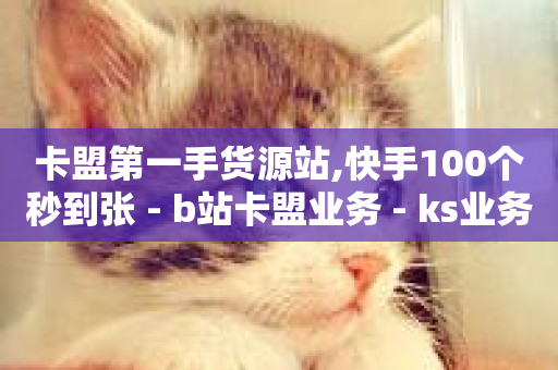 卡盟第一手货源站,快手100个秒到张 - b站卡盟业务 - ks业务下载-第1张图片-ZBLOG