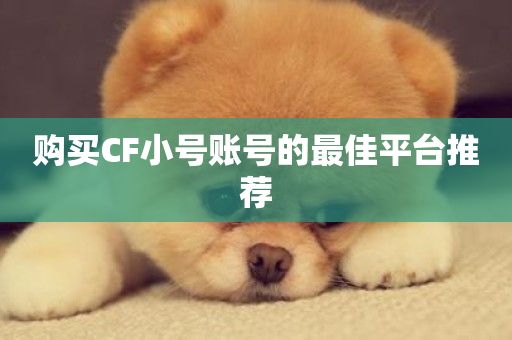 购买CF小号账号的最佳平台推荐-第1张图片-ZBLOG