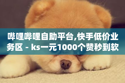 哔哩哔哩自助平台,快手低价业务区 - ks一元1000个赞秒到软件 - dy双击