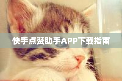 快手点赞助手APP下载指南