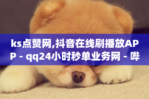 ks点赞网,抖音在线刷播放APP - qq24小时秒单业务网 - 哔哩哔哩自助平台-第1张图片-ZBLOG