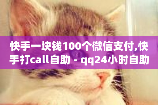 快手一块钱100个微信支付,快手打call自助 - qq24小时自助下单全网最低价 - 自助下单全网最便宜-第1张图片-ZBLOG