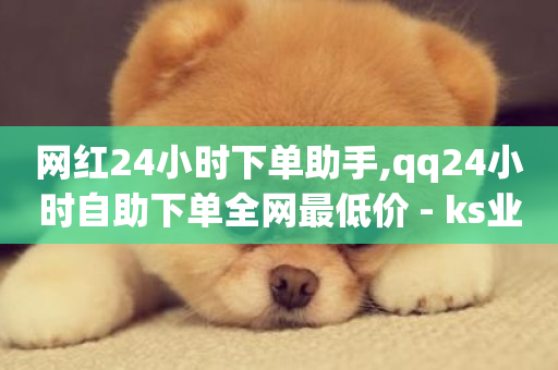 网红24小时下单助手,qq24小时自助下单全网最低价 - ks业务24小时下单平台的优势 - 抖音在线充值平台24小时到账