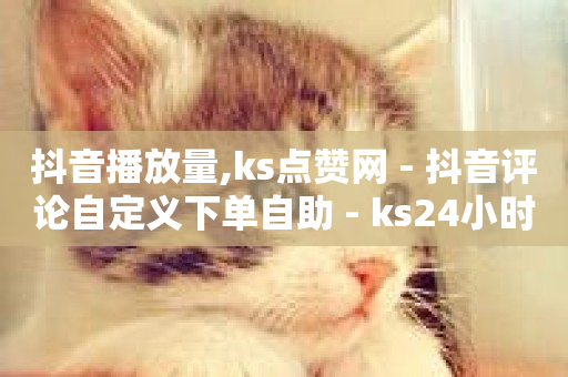 抖音播放量,ks点赞网 - 抖音评论自定义下单自助 - ks24小时自助业务-第1张图片-ZBLOG