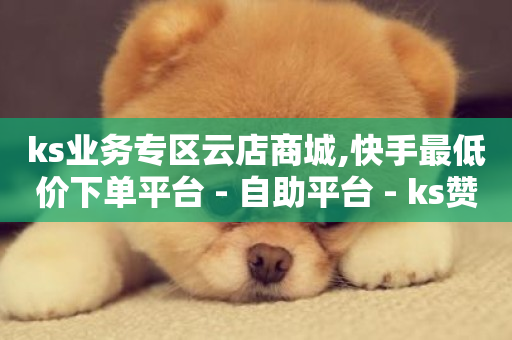 ks业务专区云店商城,快手最低价下单平台 - 自助平台 - ks赞自助下单平台网站便宜-第1张图片-ZBLOG