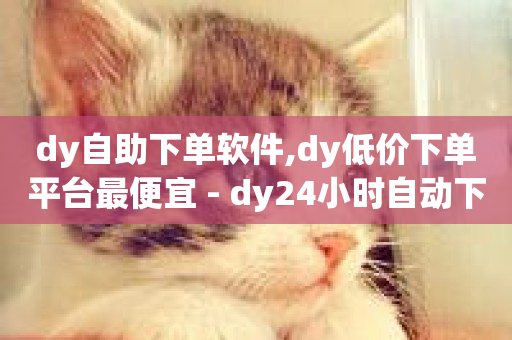 dy自助下单软件,dy低价下单平台最便宜 - dy24小时自动下单平台 - 筷手买攒业务