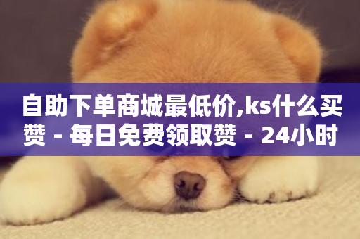 自助下单商城最低价,ks什么买赞 - 每日免费领取赞 - 24小时网红点赞业务区-第1张图片-ZBLOG