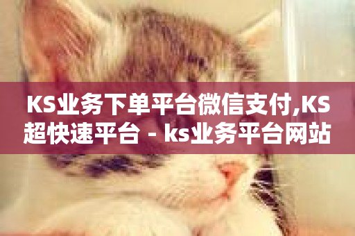 KS业务下单平台微信支付,KS超快速平台 - ks业务平台网站 - QQ名赞购买入口