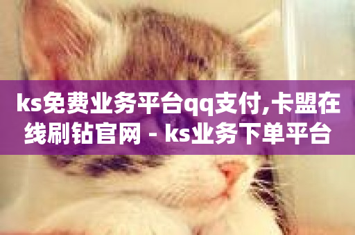 ks免费业务平台qq支付,卡盟在线刷钻官网 - ks业务下单平台直接进入 - 哔站业务自助-第1张图片-ZBLOG