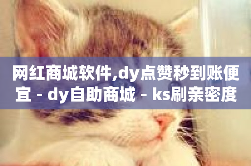 网红商城软件,dy点赞秒到账便宜 - dy自助商城 - ks刷亲密度