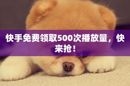 快手免费领取500次播放量，快来抢！-第1张图片-ZBLOG