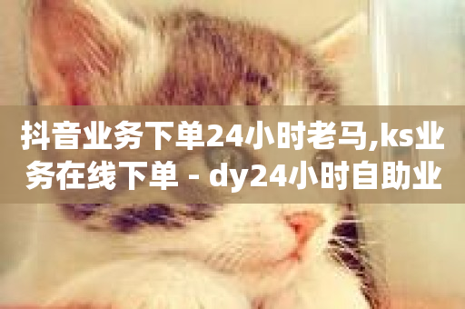 抖音业务下单24小时老马,ks业务在线下单 - dy24小时自助业务下单超稳定 - 快手粉丝宝软件-第1张图片-ZBLOG