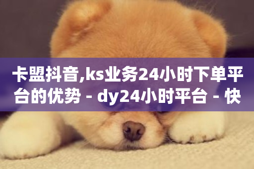 卡盟抖音,ks业务24小时下单平台的优势 - dy24小时平台 - 快手业务平台全网最低价-第1张图片-ZBLOG