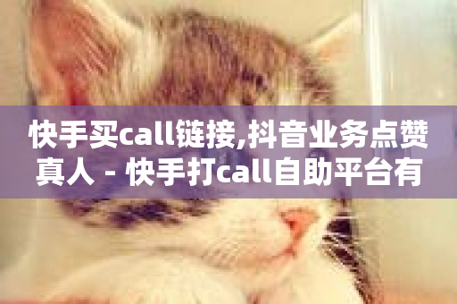 快手买call链接,抖音业务点赞真人 - 快手打call自助平台有哪些 - 点赞下单平台自助-第1张图片-ZBLOG