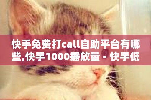 快手免费打call自助平台有哪些,快手1000播放量 - 快手低价代刷卡盟 - ks免费业务网-第1张图片-ZBLOG