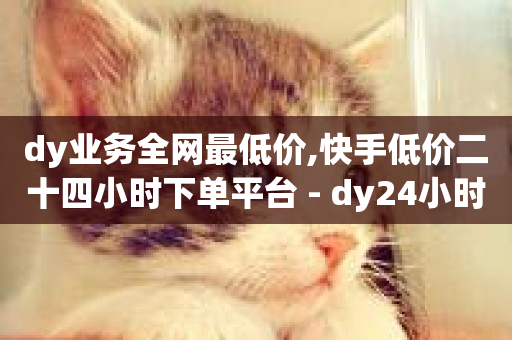 dy业务全网最低价,快手低价二十四小时下单平台 - dy24小时下单平台粉丝 - q拉接单入口