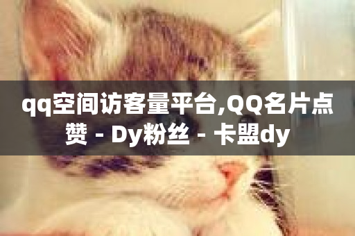 qq空间访客量平台,QQ名片点赞 - Dy粉丝 - 卡盟dy-第1张图片-ZBLOG