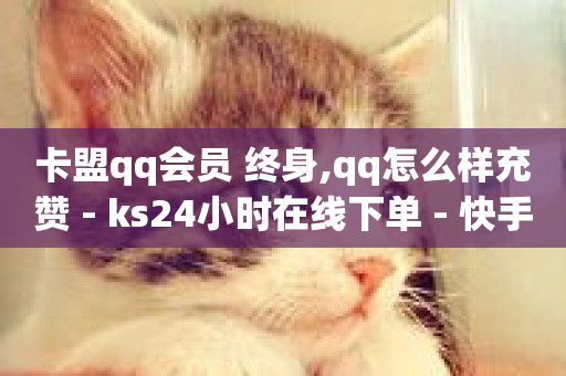 卡盟qq会员 终身,qq怎么样充赞 - ks24小时在线下单 - 快手二十四小时在线下单平台-第1张图片-ZBLOG