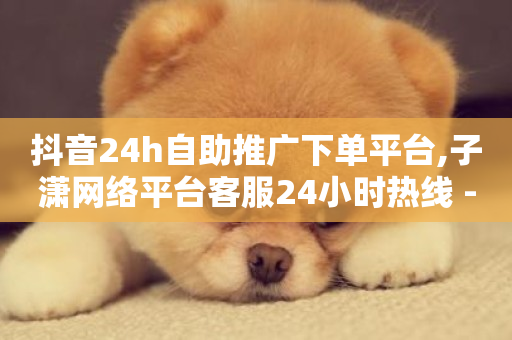 抖音24h自助推广下单平台,子潇网络平台客服24小时热线 - 网红商城在线下ks - 在线快手点赞评论-第1张图片-ZBLOG