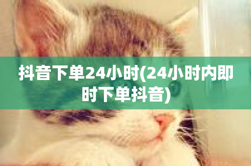 抖音下单24小时(24小时内即时下单抖音)-第1张图片-ZBLOG