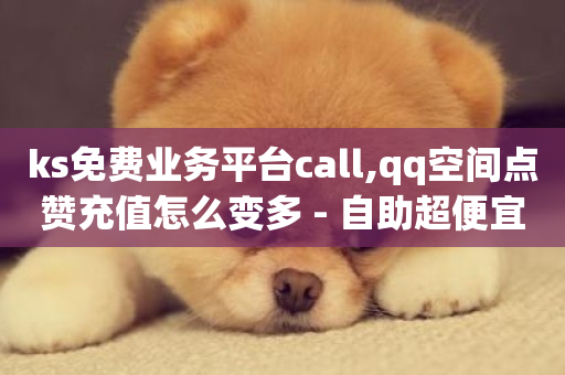 ks免费业务平台call,qq空间点赞充值怎么变多 - 自助超便宜KS下单 - ks点赞链接入口-第1张图片-ZBLOG