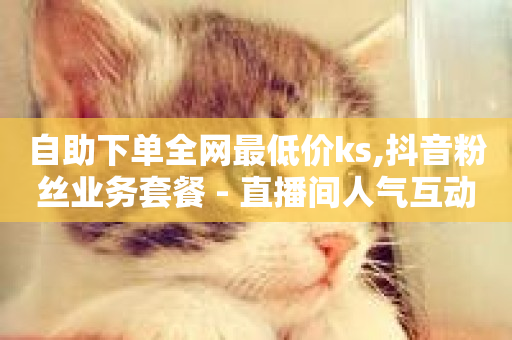 自助下单全网最低价ks,抖音粉丝业务套餐 - 直播间人气互动真人下单 - ks点赞链接