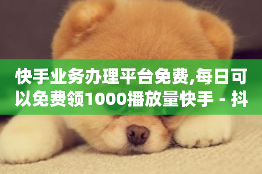 快手业务办理平台免费,每日可以免费领1000播放量快手 - 抖音快手自助服务 - dy低价下单平台商城-第1张图片-ZBLOG