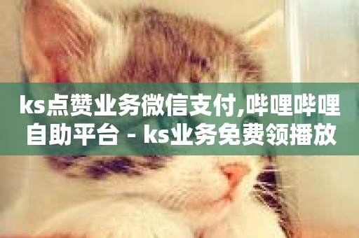 ks点赞业务微信支付,哔哩哔哩自助平台 - ks业务免费领播放 - b站24小时低价秒单业务-第1张图片-ZBLOG