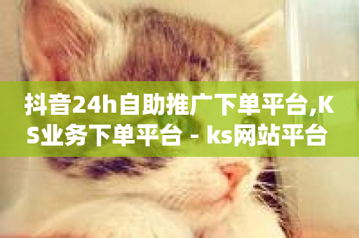 抖音24h自助推广下单平台,KS业务下单平台 - ks网站平台 - qq音乐在线自助下单-第1张图片-ZBLOG