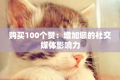 购买100个赞：增加您的社交媒体影响力-第1张图片-ZBLOG