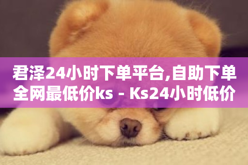 君泽24小时下单平台,自助下单全网最低价ks - Ks24小时低价秒单业务 - 抖音播放量下单-第1张图片-ZBLOG