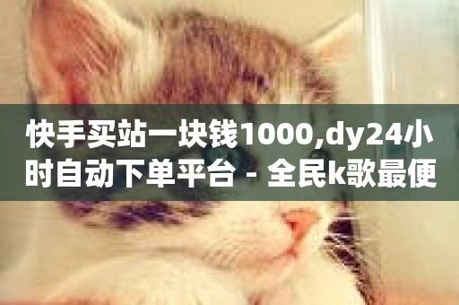 快手买站一块钱1000,dy24小时自动下单平台 - 全民k歌最便宜刷收听量网址 - 抖音双击-第1张图片-ZBLOG