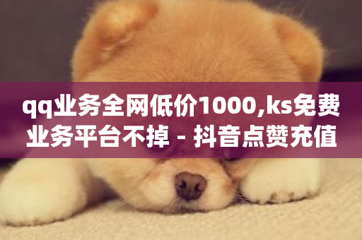 qq业务全网低价1000,ks免费业务平台不掉 - 抖音点赞充值24小时到账 - 自助下单浏览量-第1张图片-ZBLOG