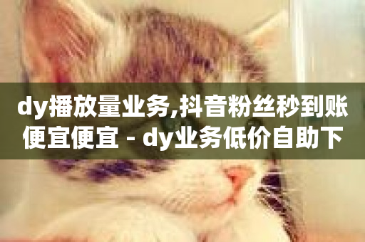 dy播放量业务,抖音粉丝秒到账便宜便宜 - dy业务低价自助下单软件 - dy业务低价自助下单软件-第1张图片-ZBLOG