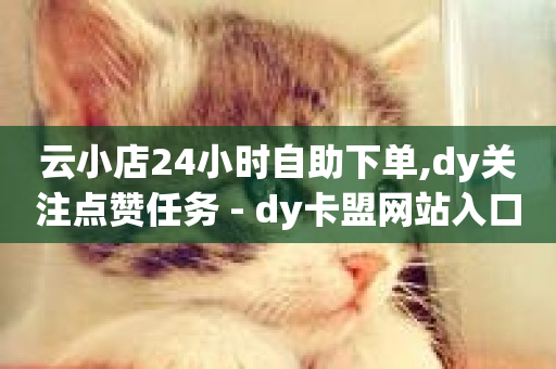 云小店24小时自助下单,dy关注点赞任务 - dy卡盟网站入口 - 抖音24小时在线商城-第1张图片-ZBLOG