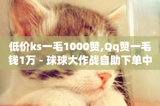 低价ks一毛1000赞,Qq赞一毛钱1万 - 球球大作战自助下单中心 - 抖音粉丝增加业务-第1张图片-ZBLOG