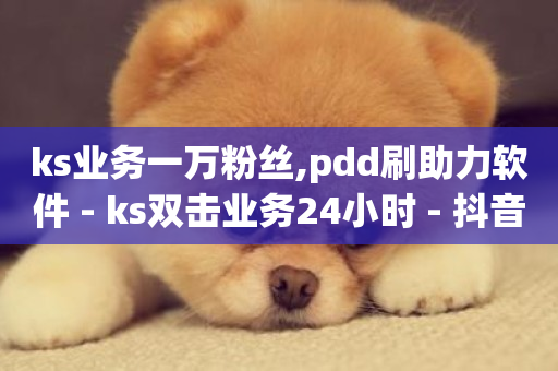 ks业务一万粉丝,pdd刷助力软件 - ks双击业务24小时 - 抖音下单自助平台-第1张图片-ZBLOG