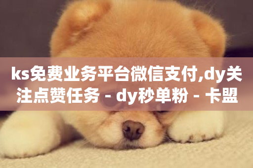 ks免费业务平台微信支付,dy关注点赞任务 - dy秒单粉 - 卡盟平台在线下单