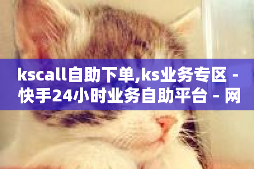 kscall自助下单,ks业务专区 - 快手24小时业务自助平台 - 网红助手24小时下单平台-第1张图片-ZBLOG