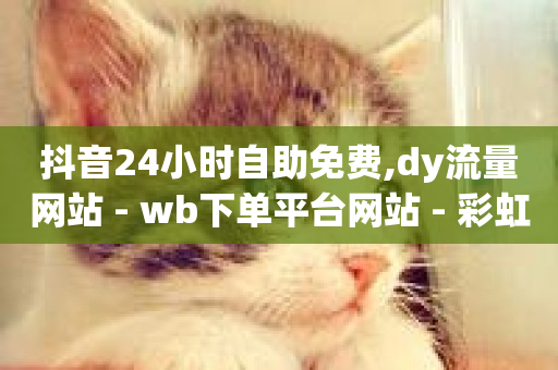 抖音24小时自助免费,dy流量网站 - wb下单平台网站 - 彩虹云商城网站-第1张图片-ZBLOG