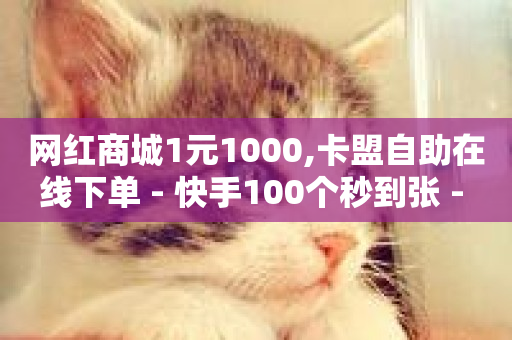 网红商城1元1000,卡盟自助在线下单 - 快手100个秒到张 - ks0.01刷100