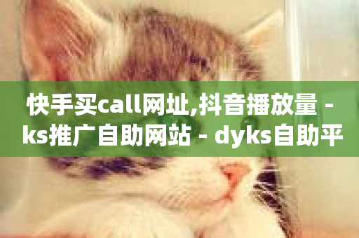 快手买call网址,抖音播放量 - ks推广自助网站 - dyks自助平台-第1张图片-ZBLOG