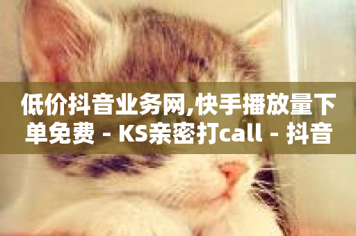 低价抖音业务网,快手播放量下单免费 - KS亲密打call - 抖音业务下单24小时最低价