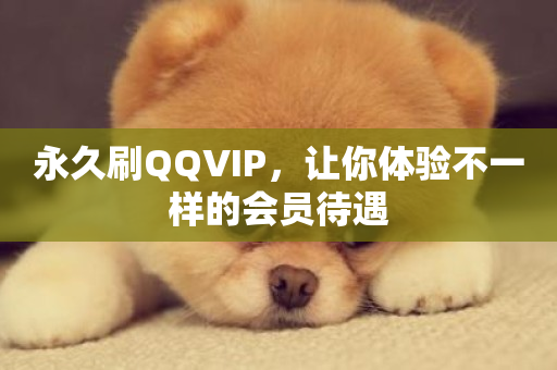 永久刷QQVIP，让你体验不一样的会员待遇-第1张图片-ZBLOG